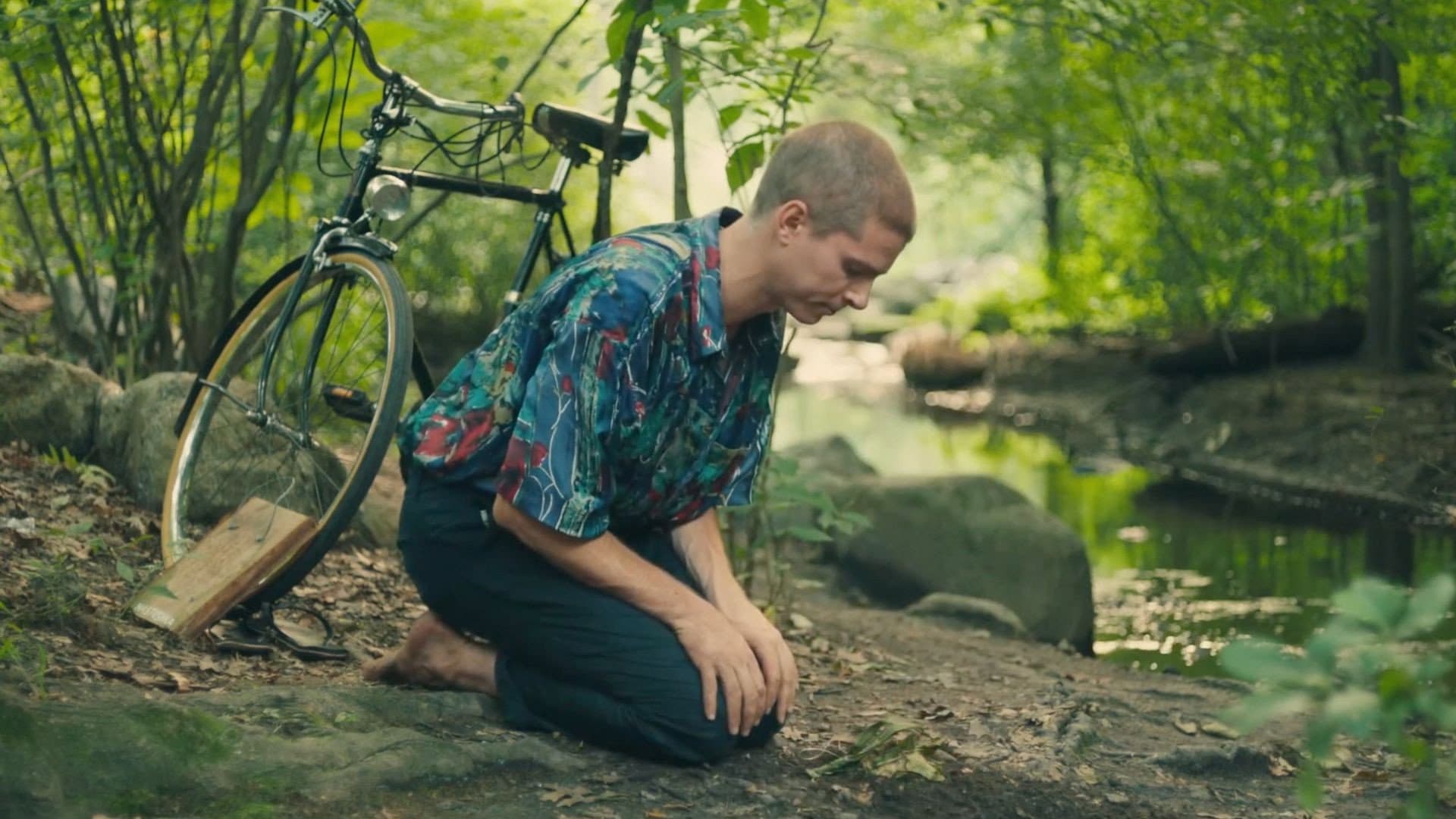 The Poet and the Plant