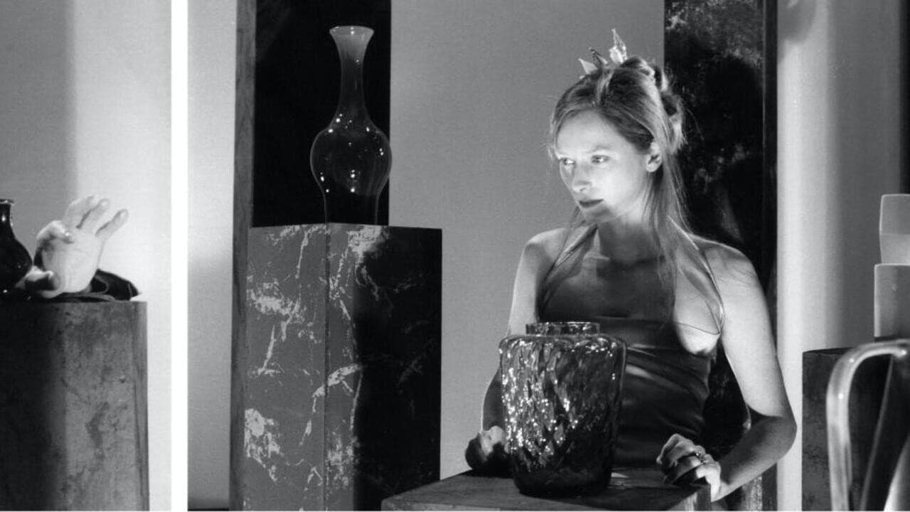 The Party: Nature Morte