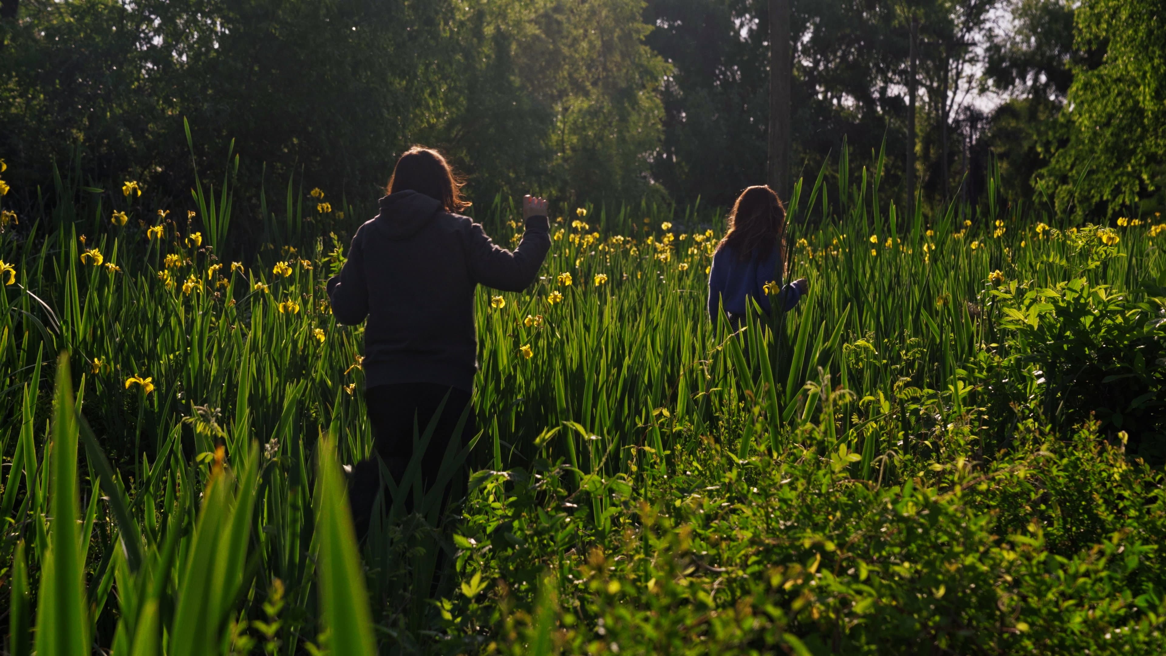 When the waters turn Magenta