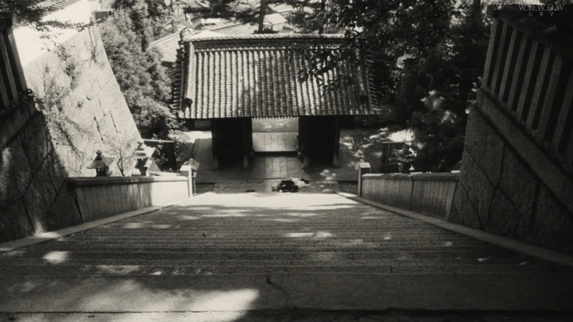 I Are You, You Am Me