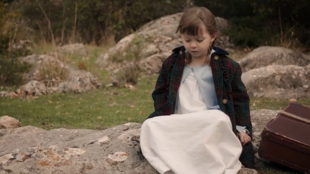 The Memory of Butterflies