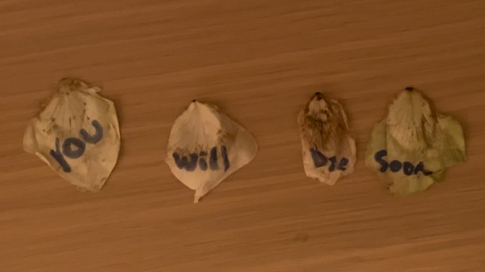 Cod Liver Oil and Milk