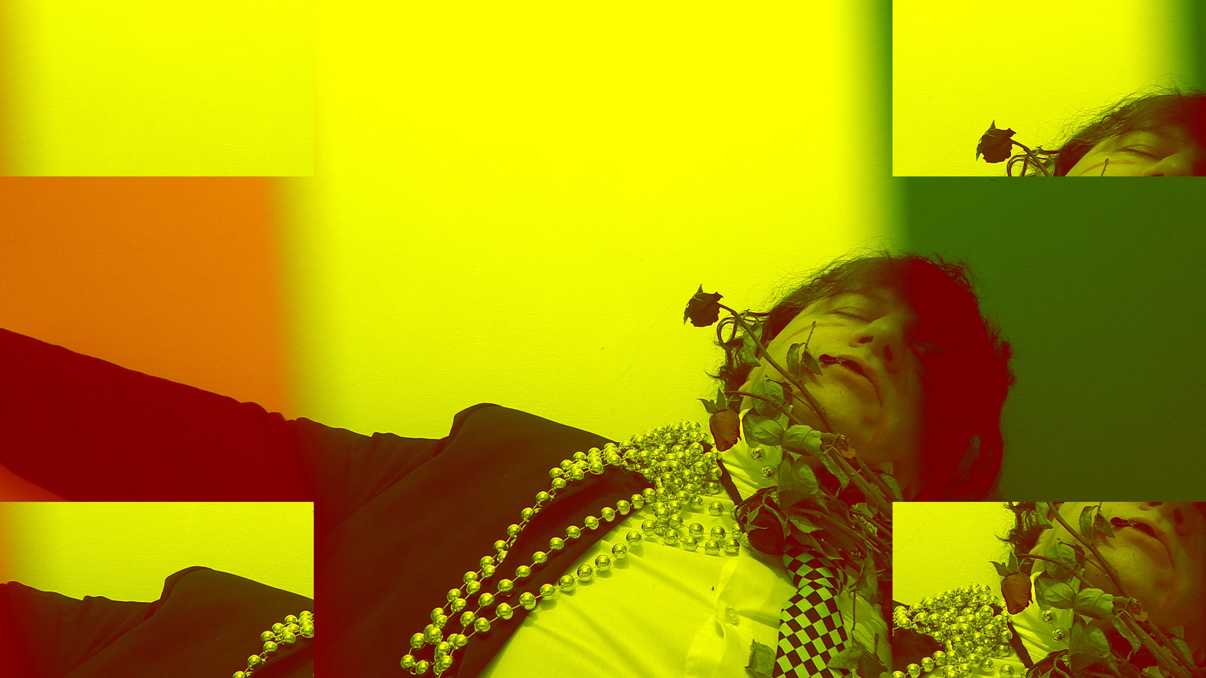 Sono sfiorite le rose