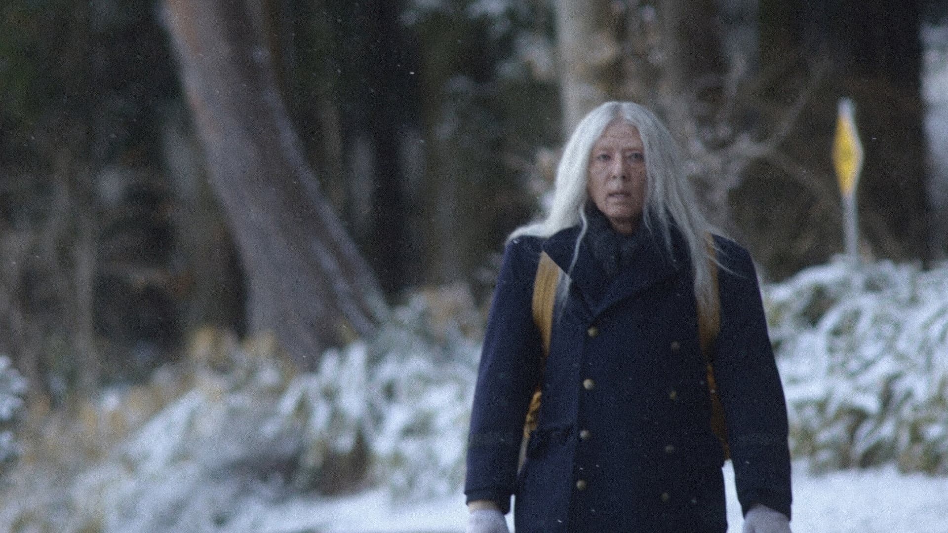 The Forest of Sunekosuri