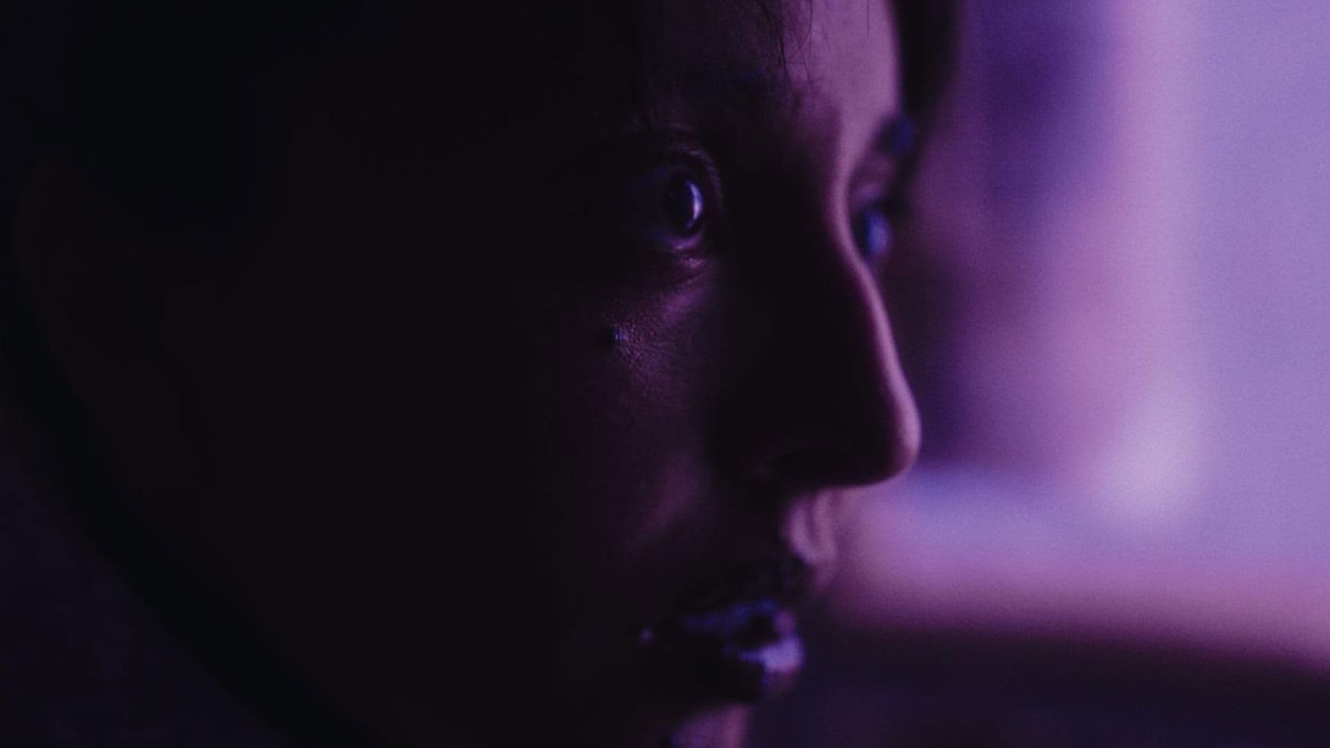 Cuando los gatos no maúllan