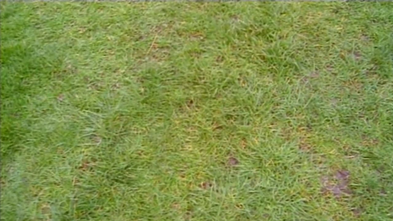 Do You Remember the First Time?