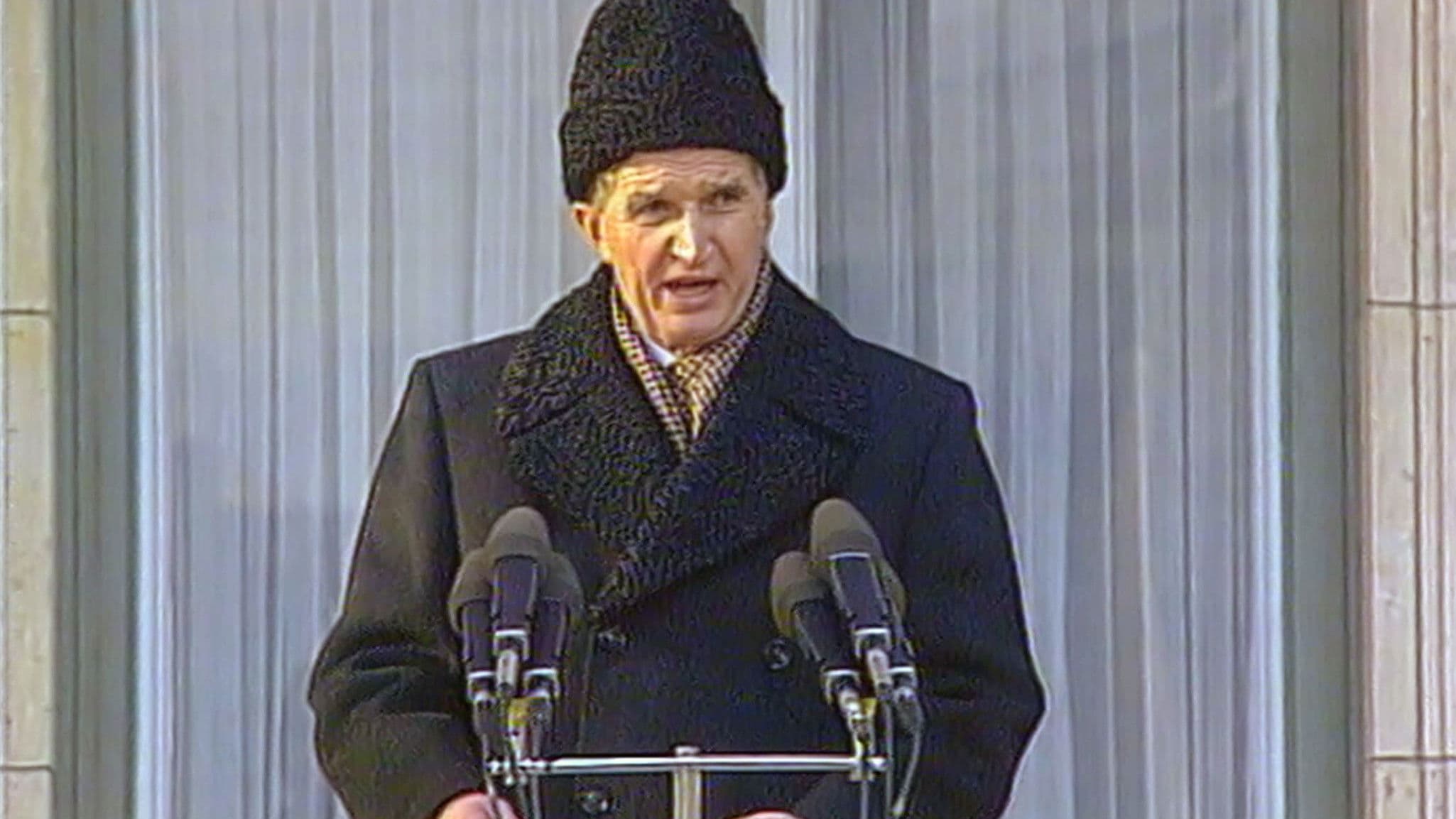 Videograms of a Revolution