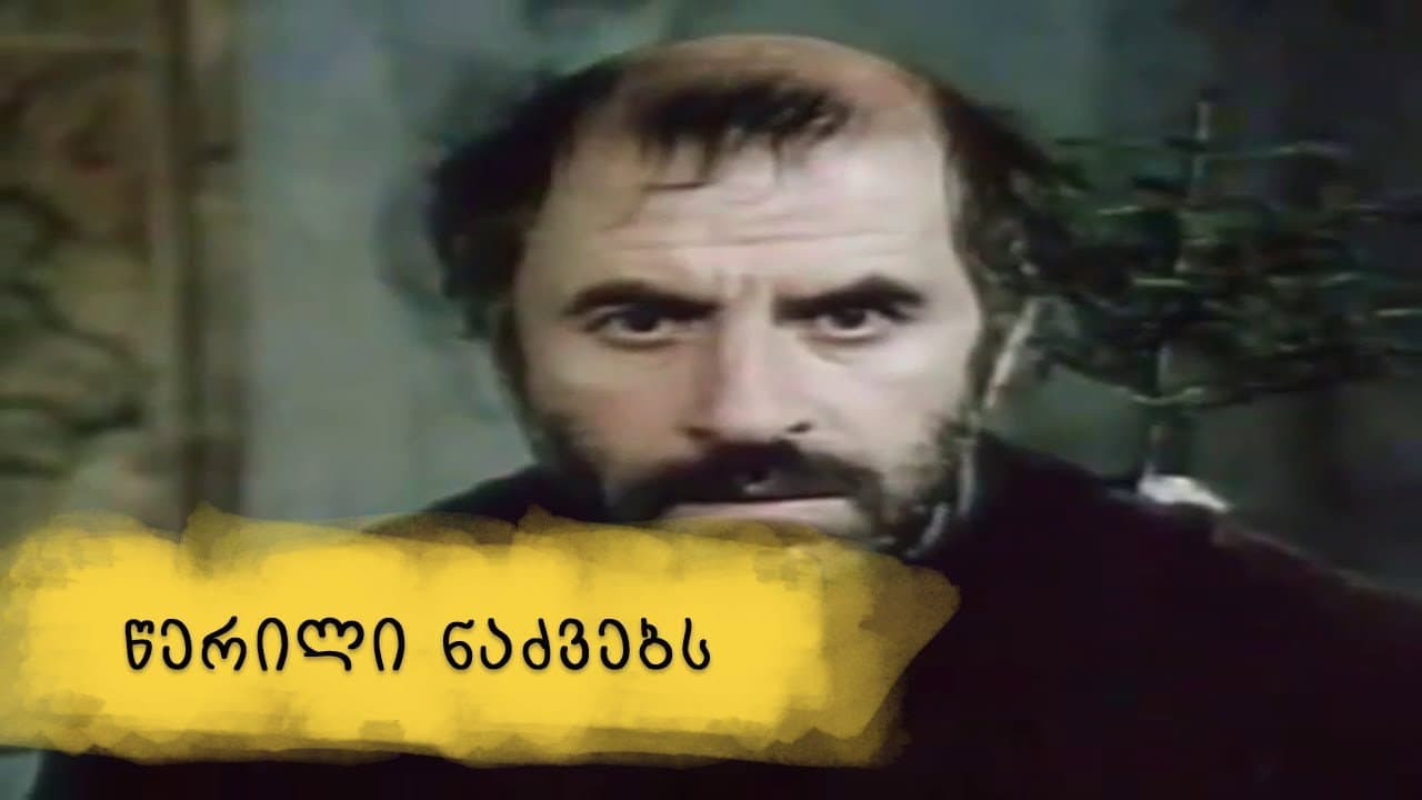 A Letter to Fir Trees