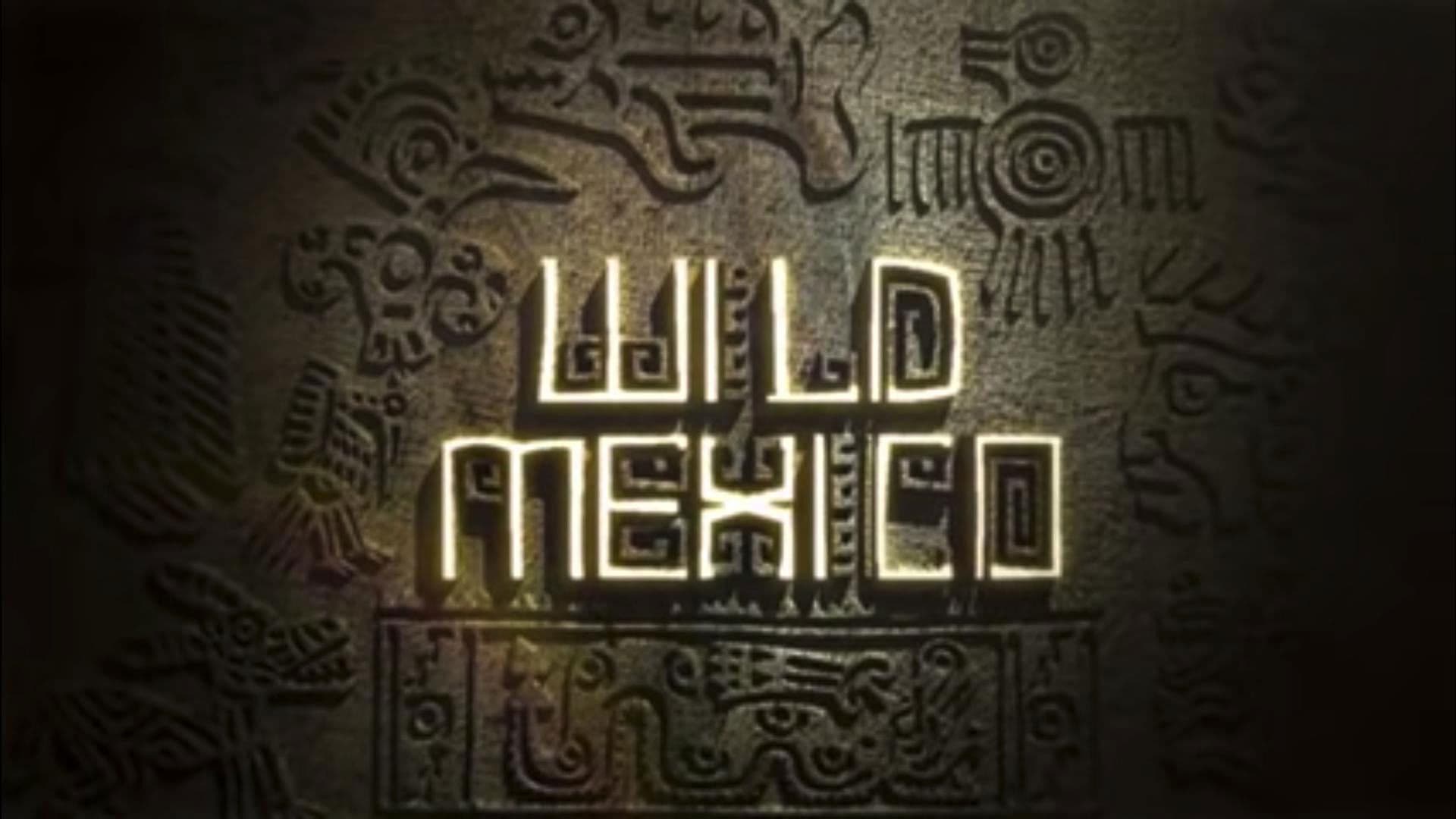 Wild Mexico