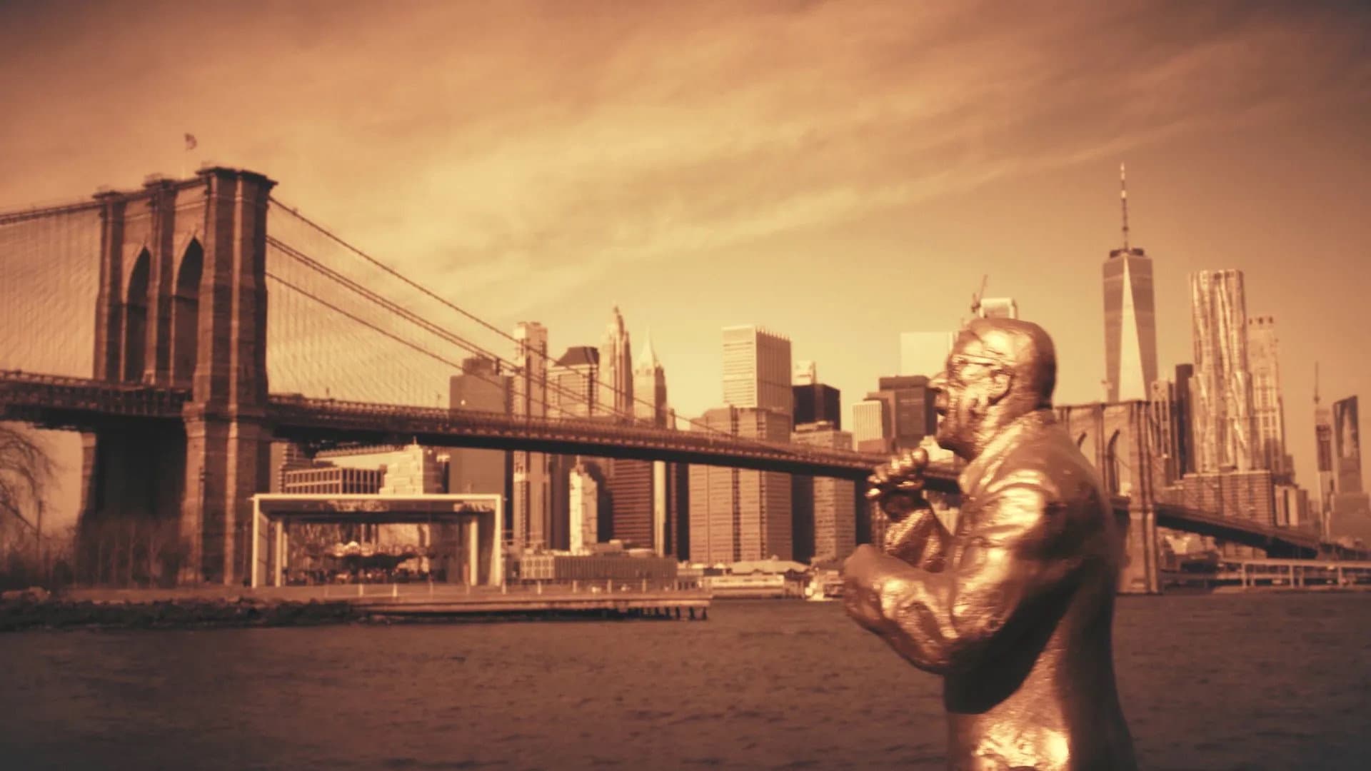 Saban Bajramovic - My Journey