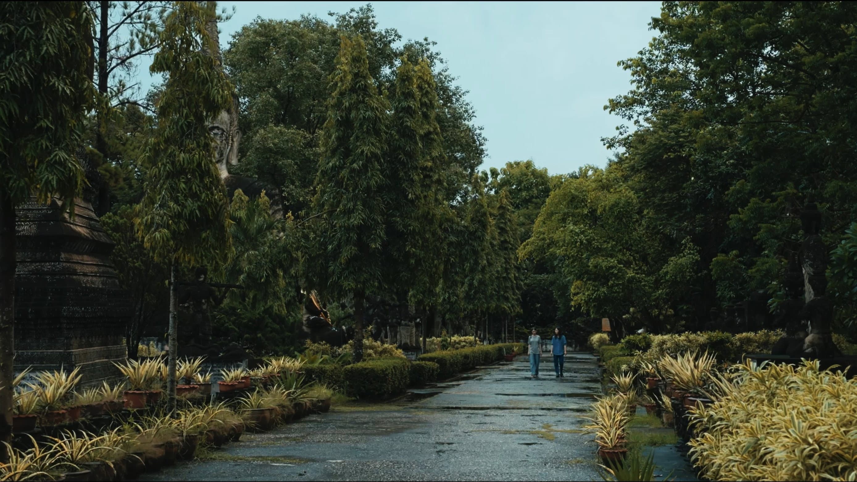 The Observer's Journal