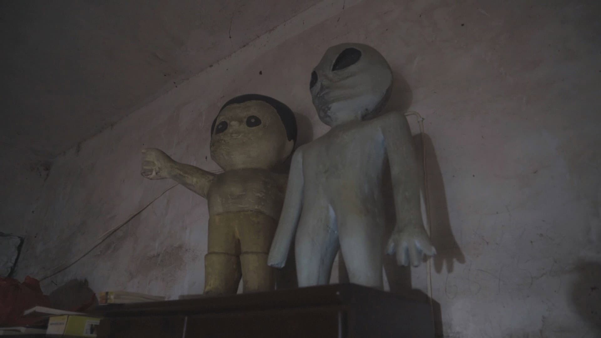 Fragments from the Birth of the Universe