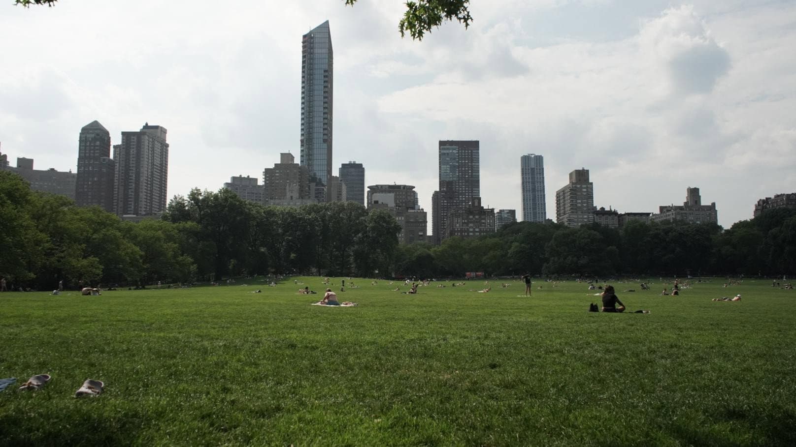 The Voices of New York