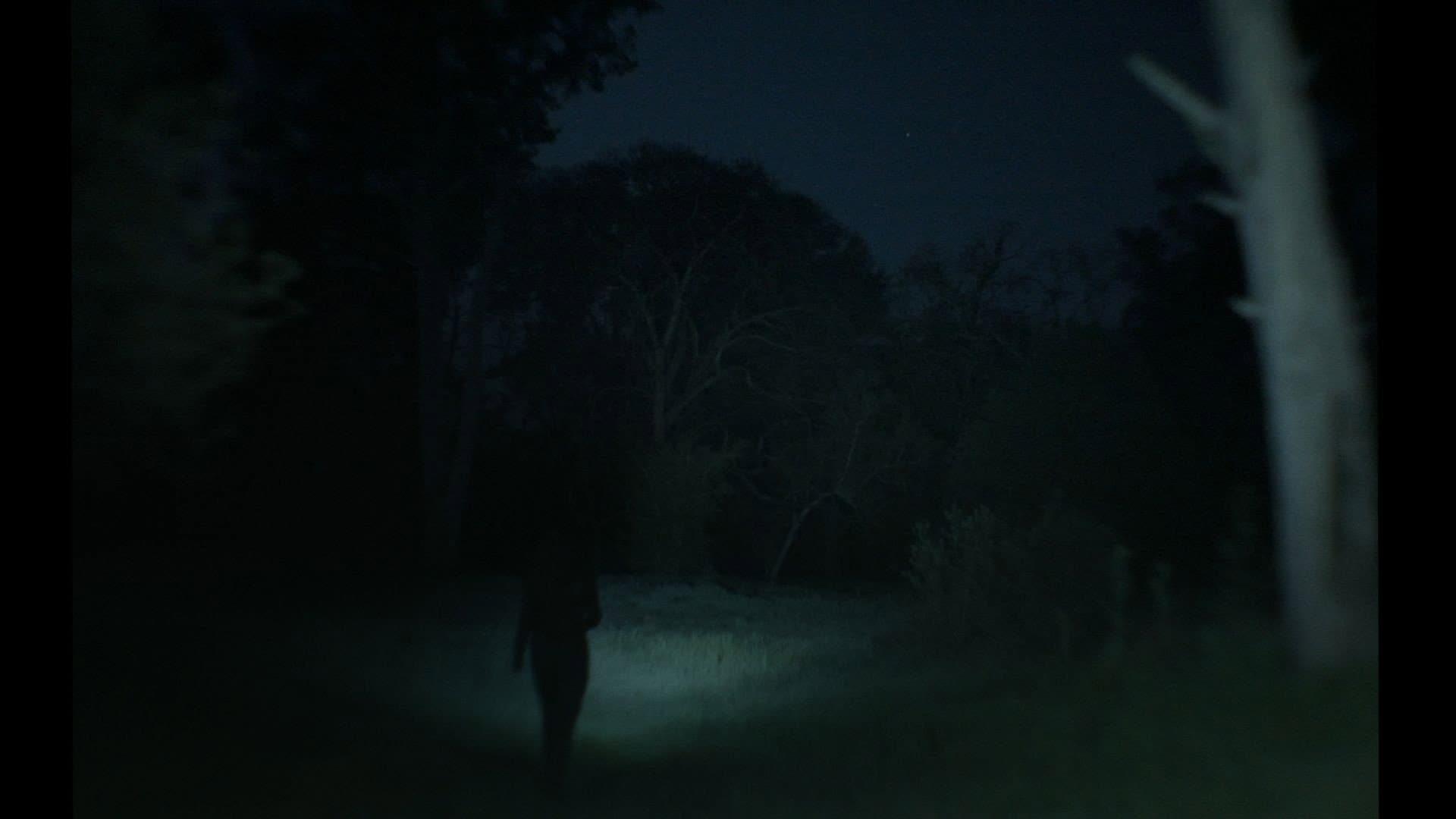 A veces pienso en volver