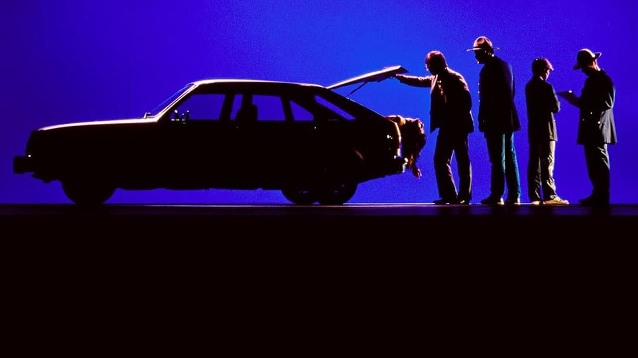 Echoes in the Darkness