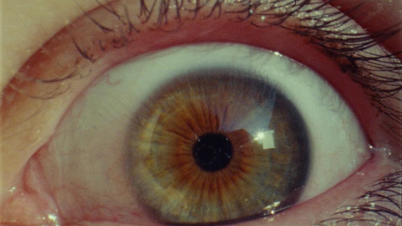 The Last Dinner Party: Prelude to Ecstasy