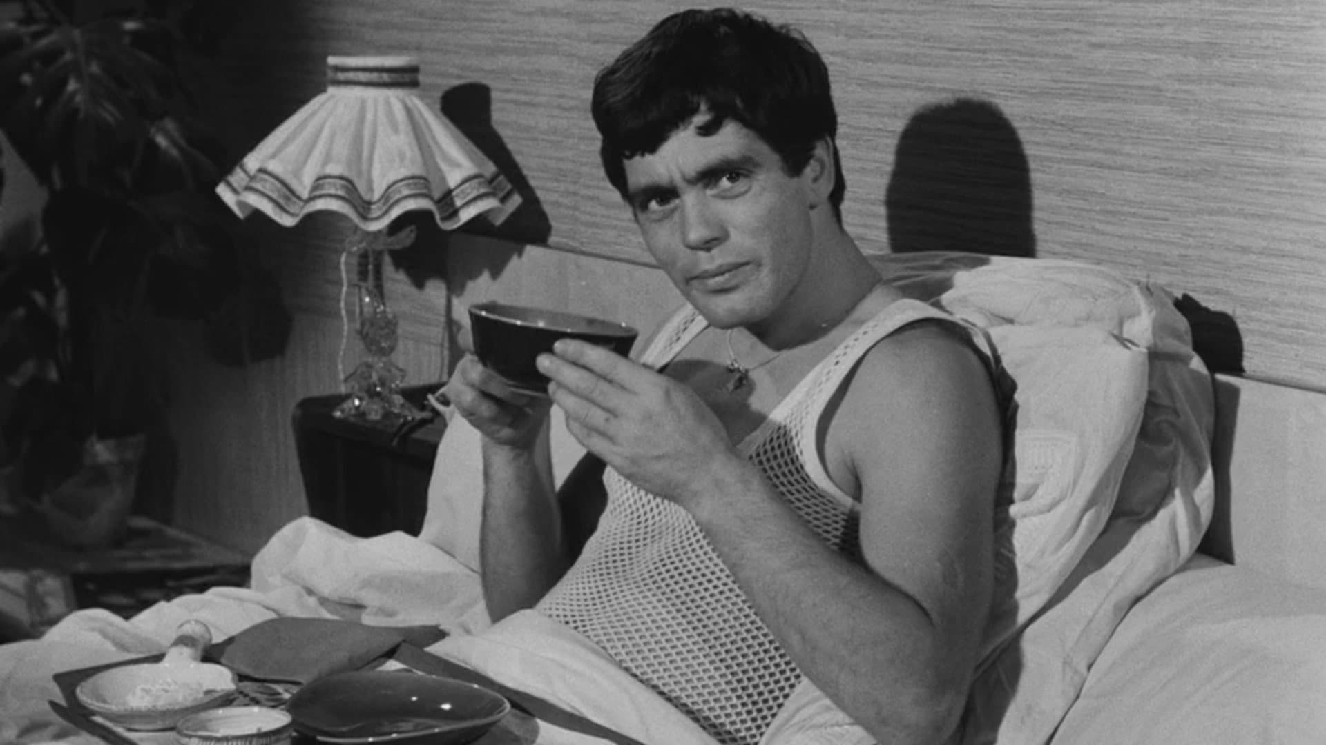 Chicken Feed for Little Birds