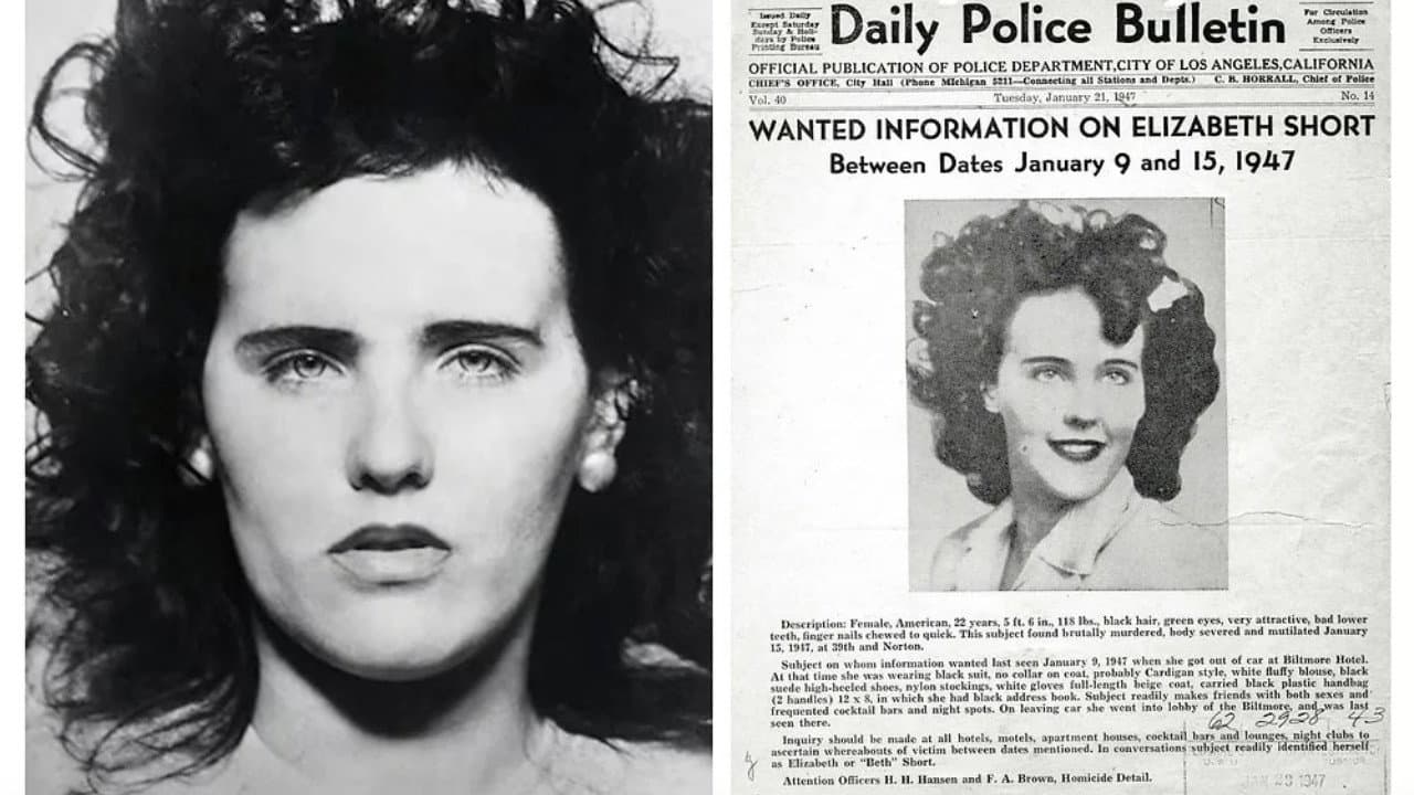 Black Dahlia Confidential