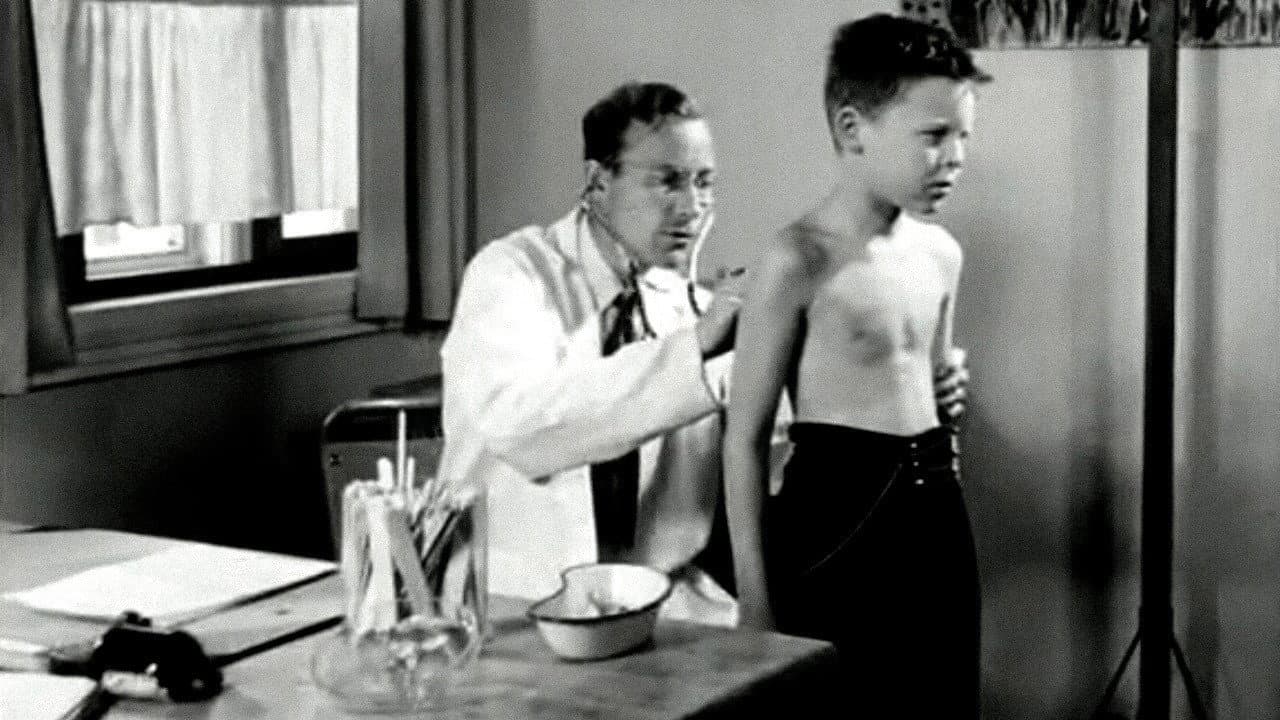 Oslofilm: Summer Paradise