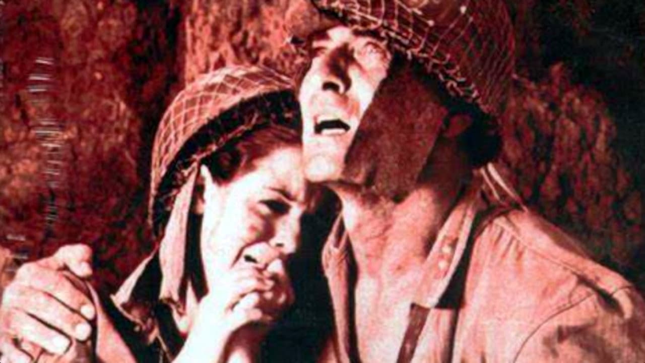 Guerillas in Pink Lace