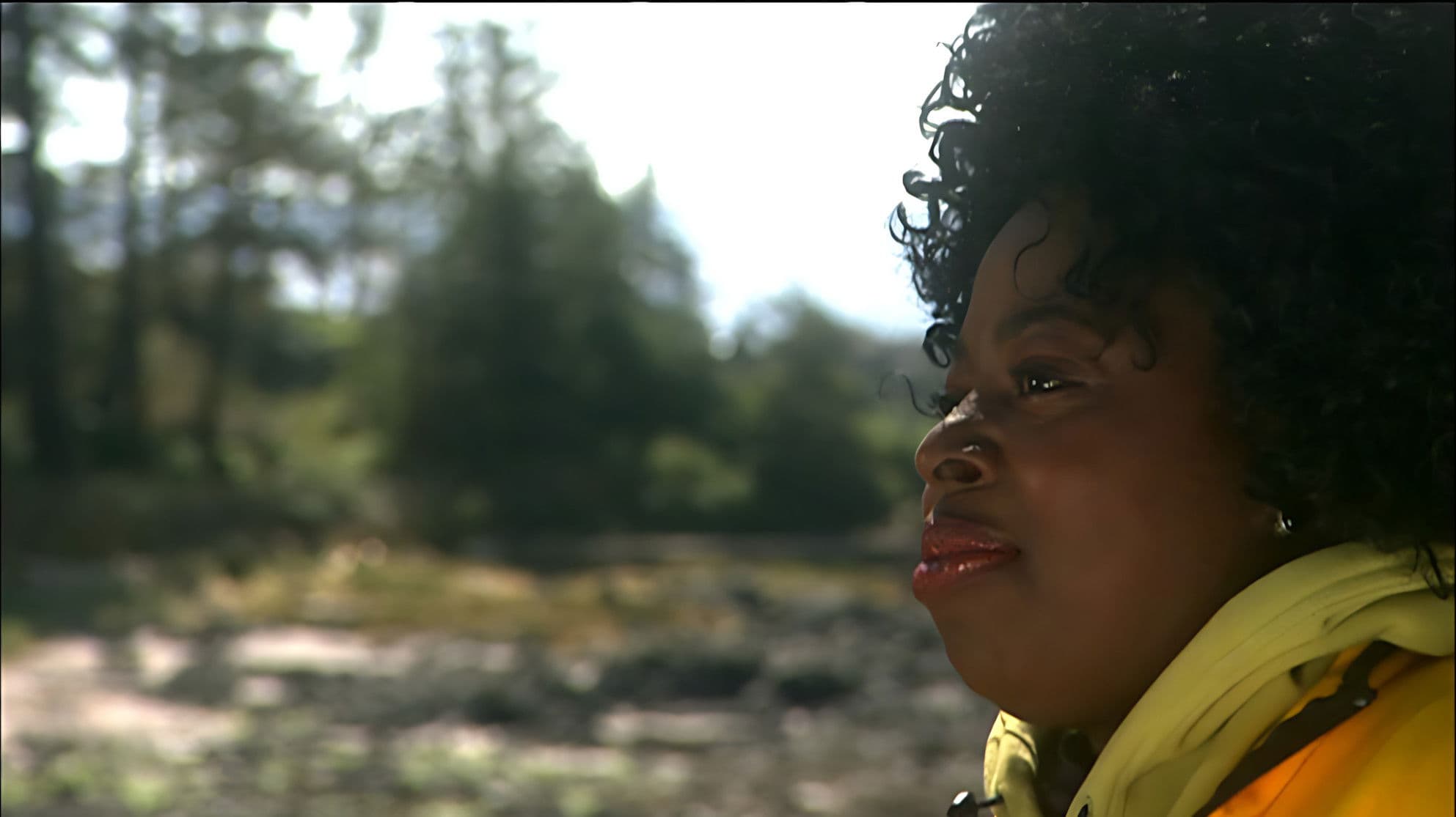 Angie Stone - Live In Vancouver Island