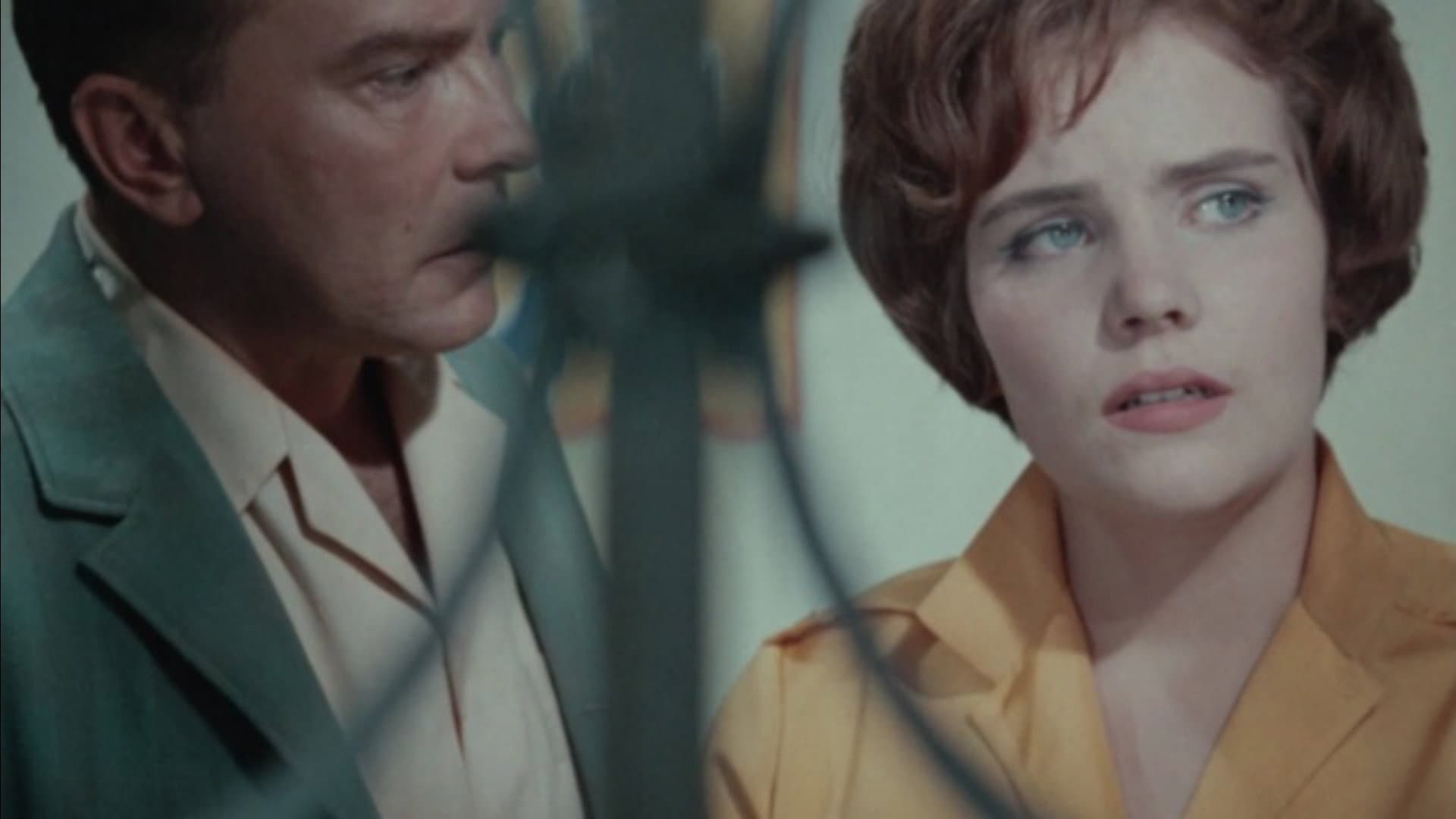 Hills Like White Elephants