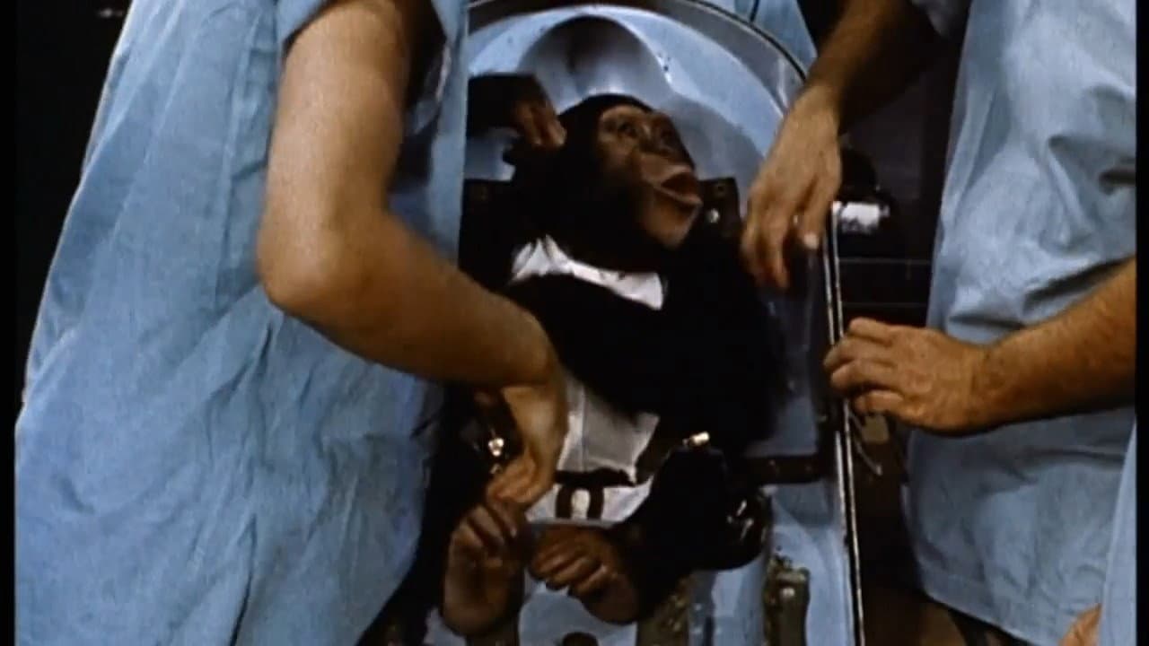 Ham: A Chimp into Space