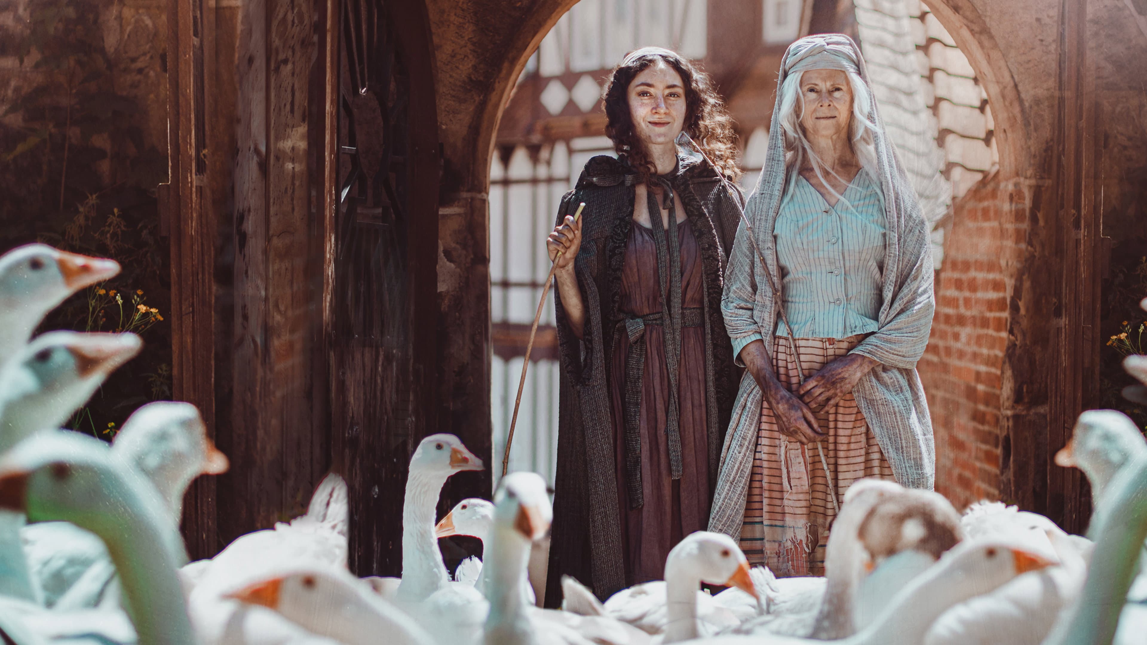 Die Gänseprinzessin