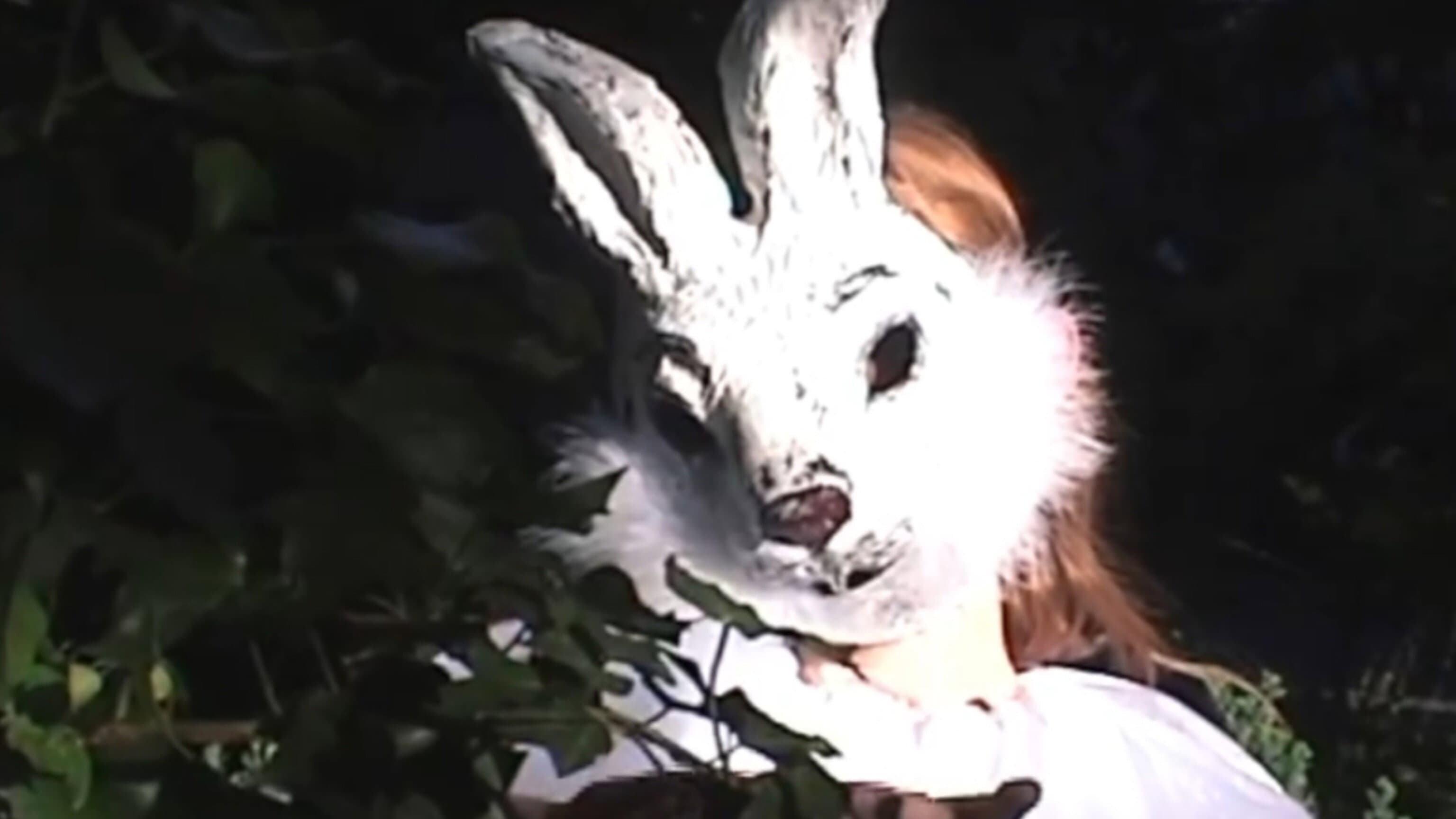 Baby, I'm The Wolf, The Film