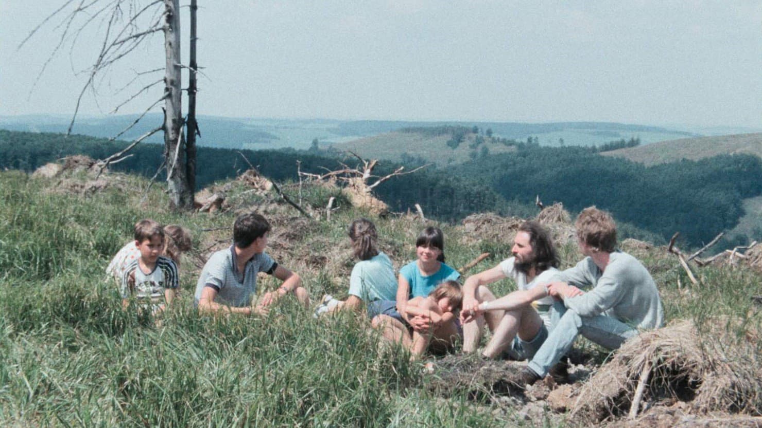 Farewell, Beautiful Forest… or How a Film Was Censored