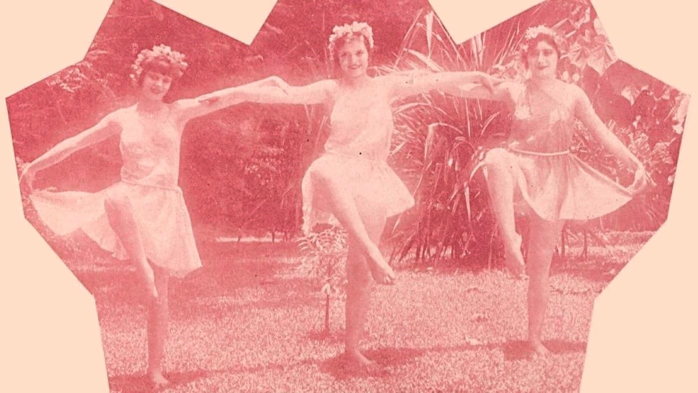 Sinfonia da Floresta