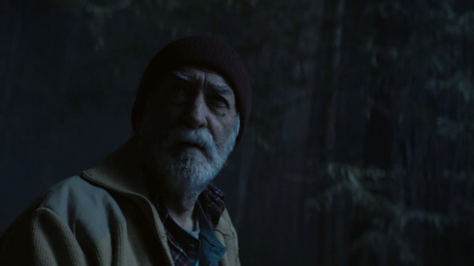 Where the pines lament