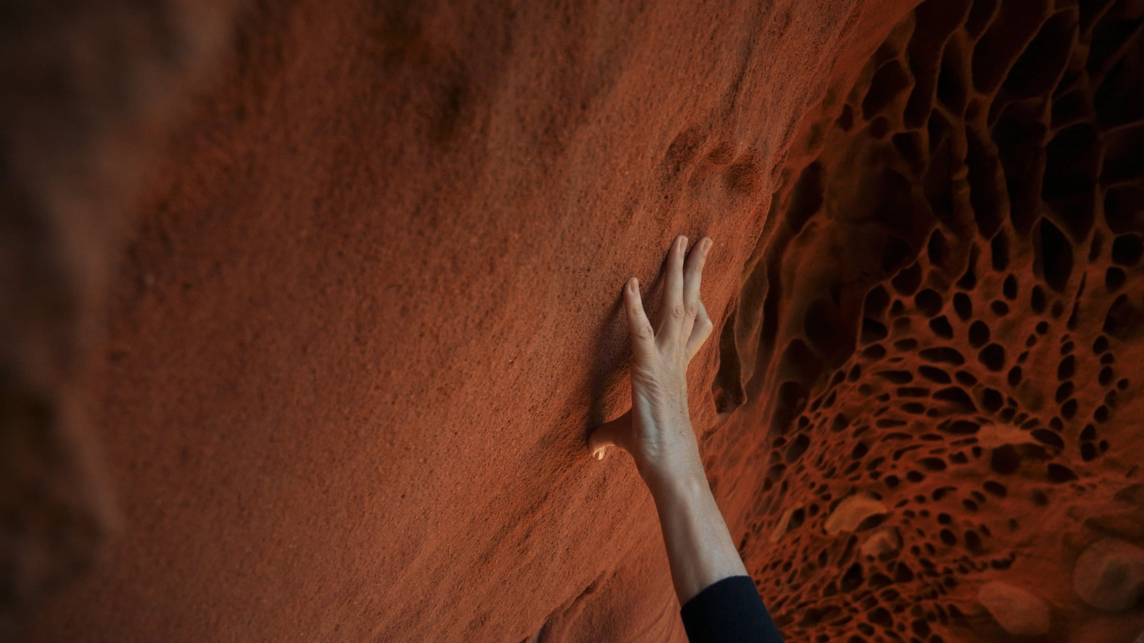 Hondalea: Marine Abyss