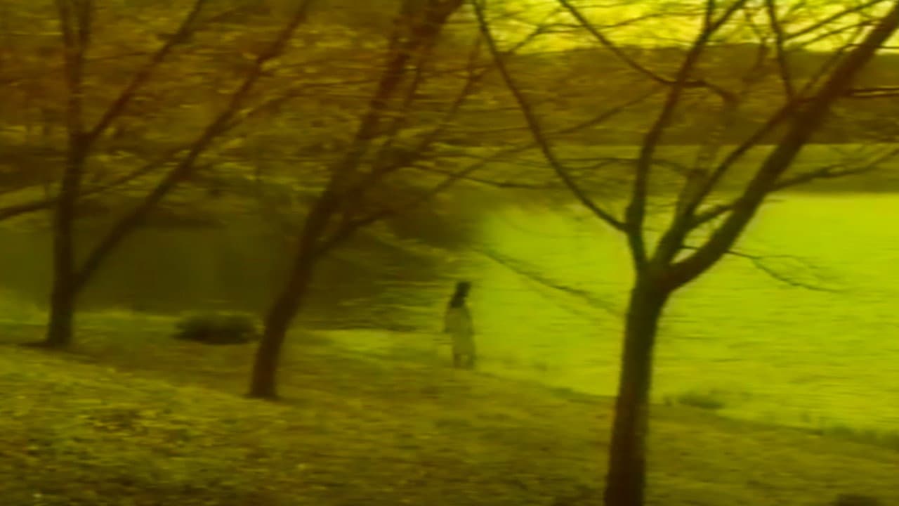 Sensual Forest Beauty