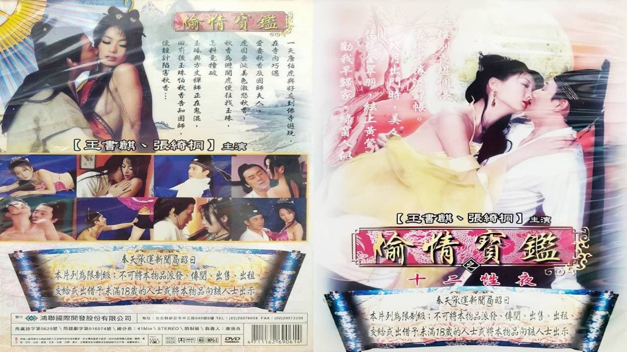 偷情宝鉴之十二性夜