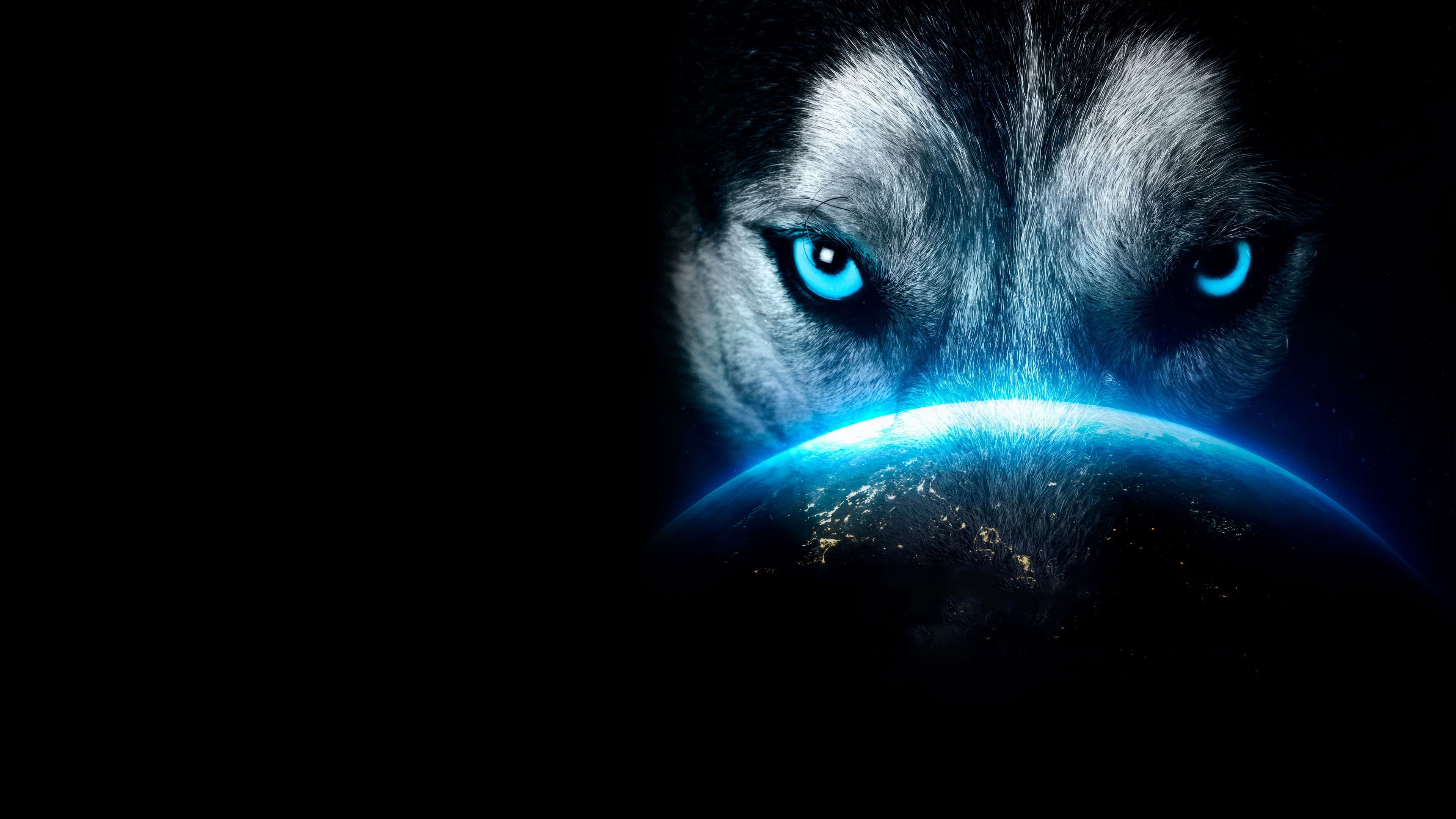 K-1 WORLD MAX 2024: 70kg 1st Round