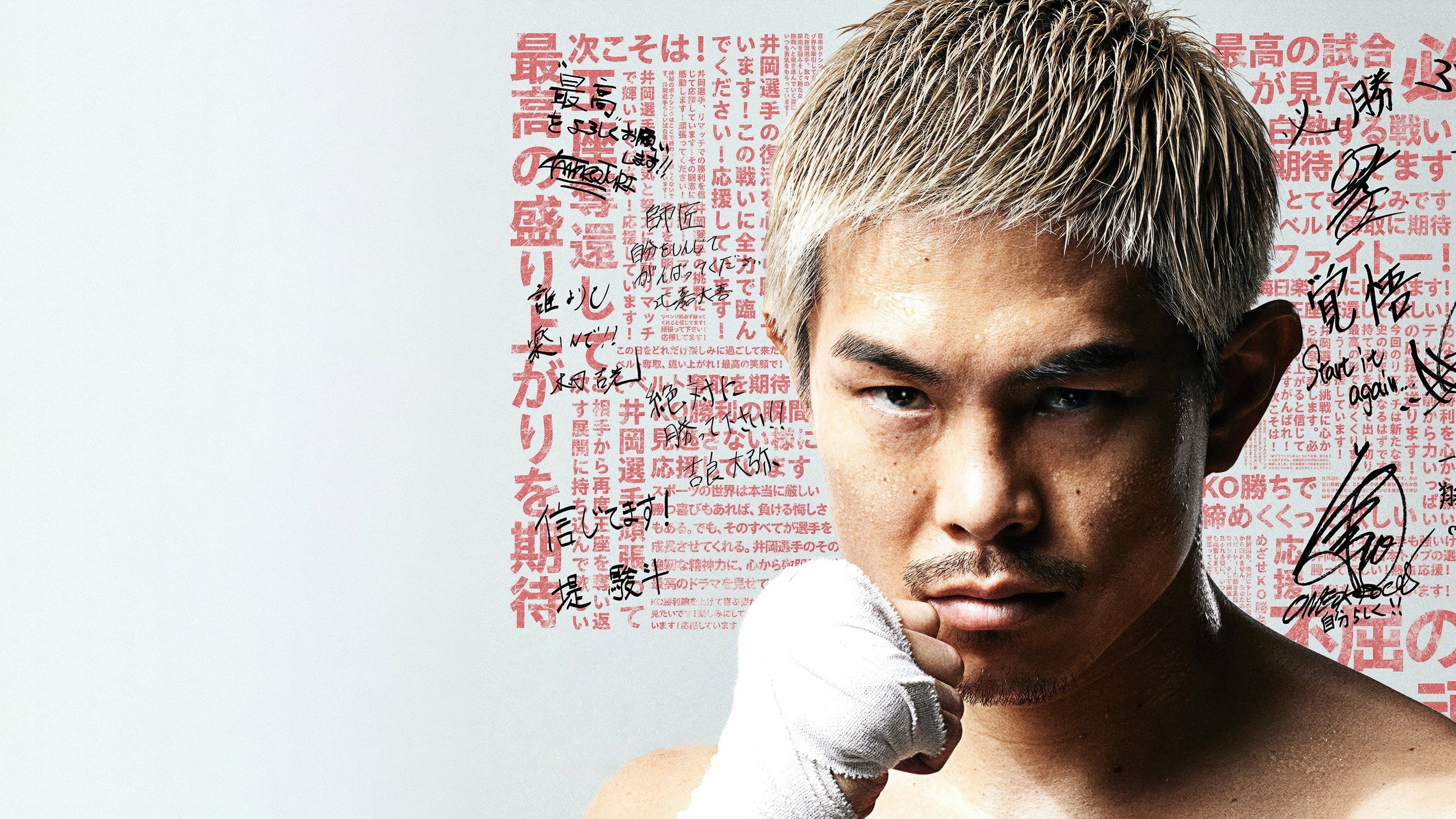 Fernando Martinez vs. Kazuto Ioka 2