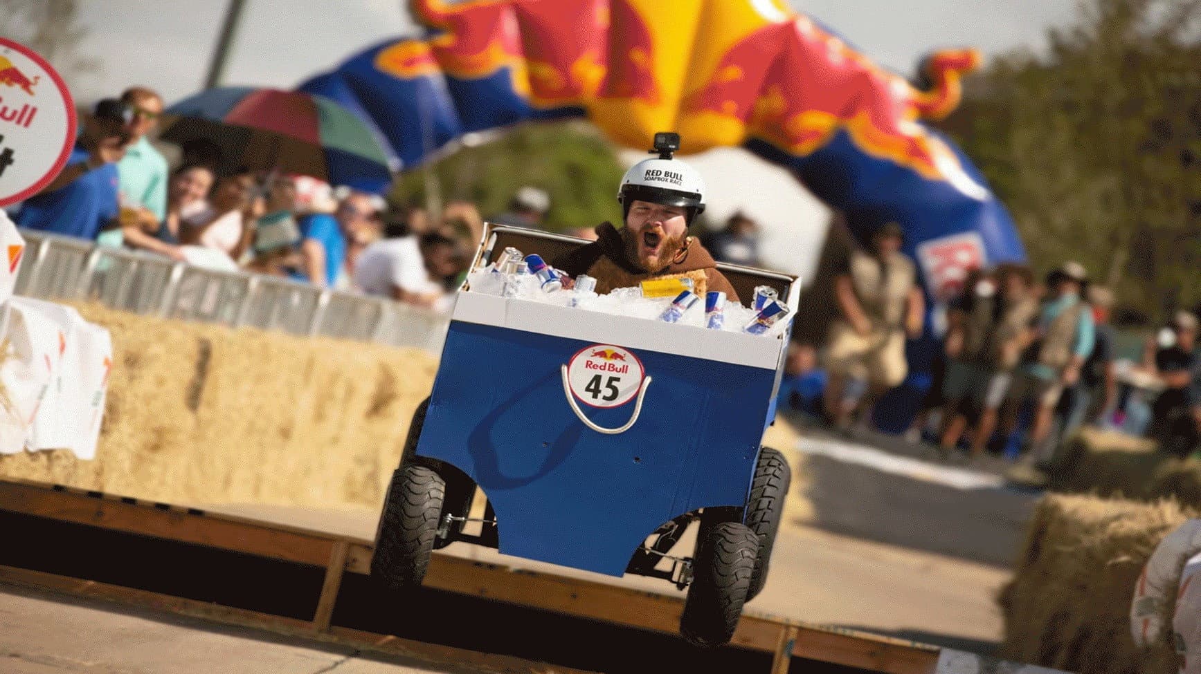 Bolio: Spirit of the Mustang