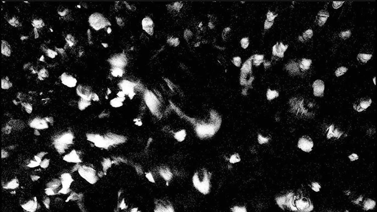 “Rooms of the House, 10 Years later - a motion picture film by Martin"