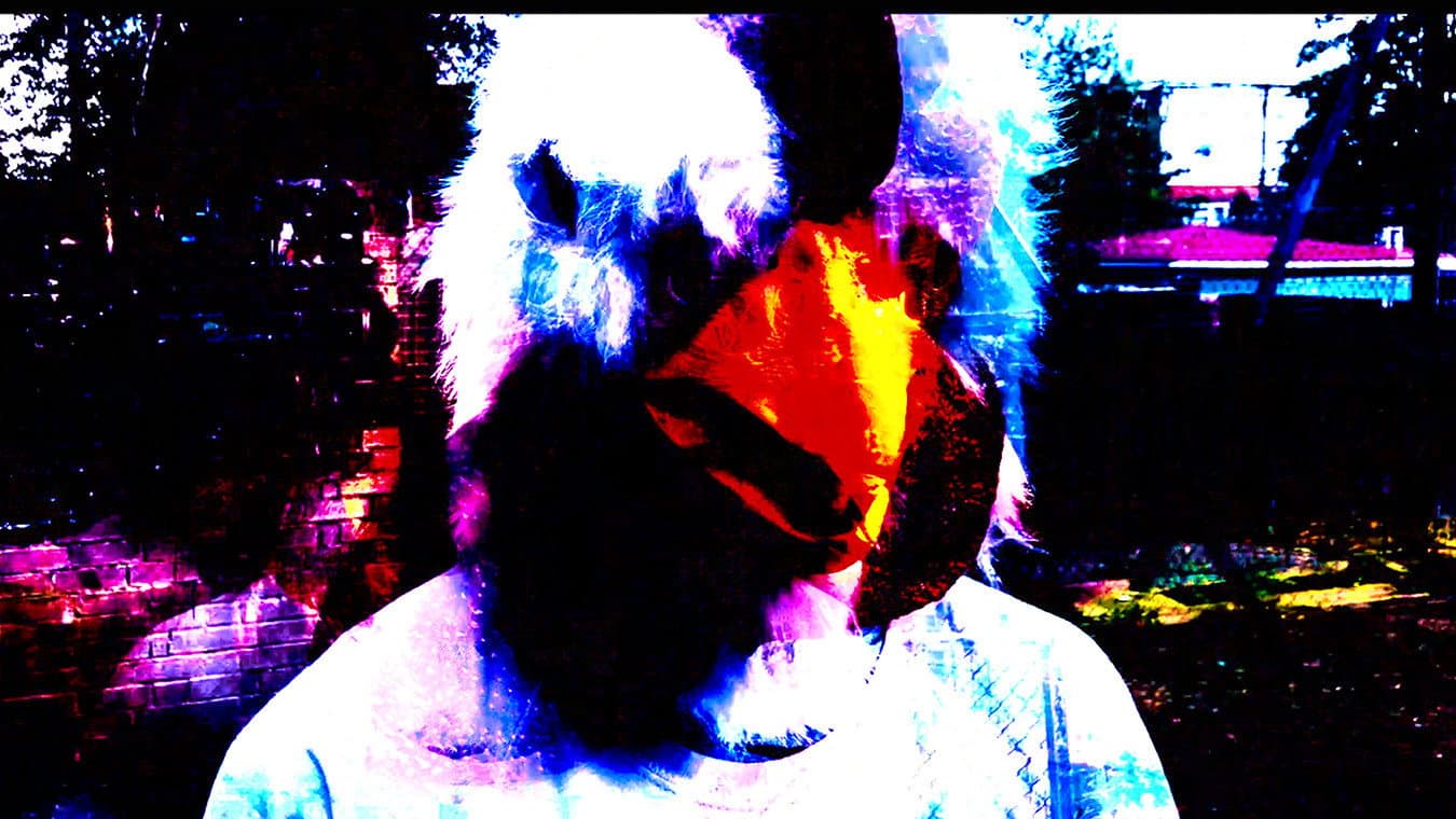 Why he got a chicken on his head?