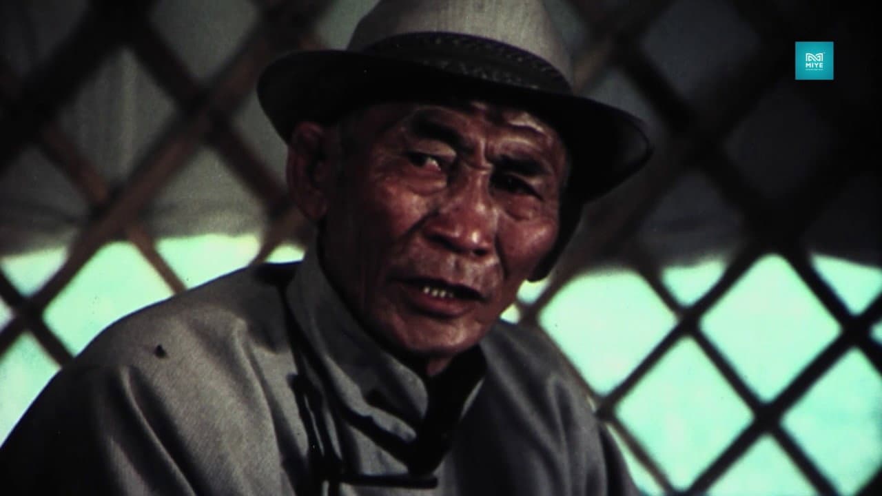 Palm trees are green in Winter