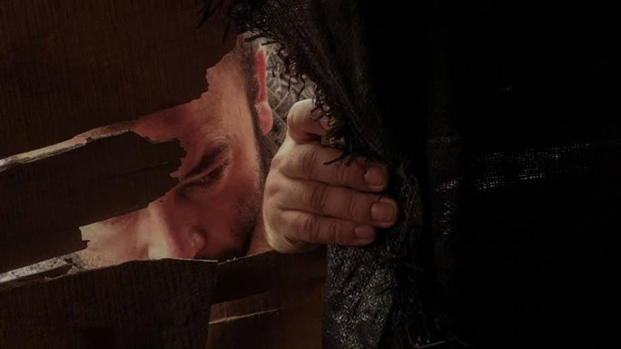 Searching for the Animal