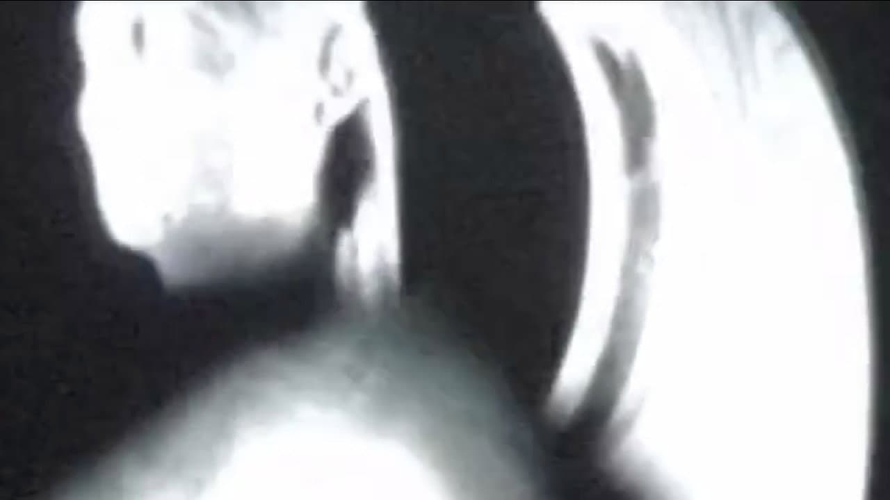 Kha Uebertragung - Les embaumées