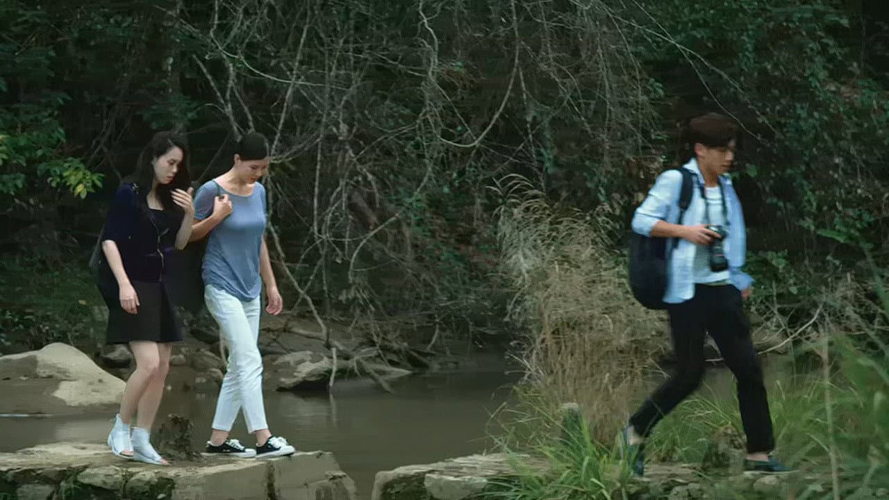 Favorite Begonia Flower