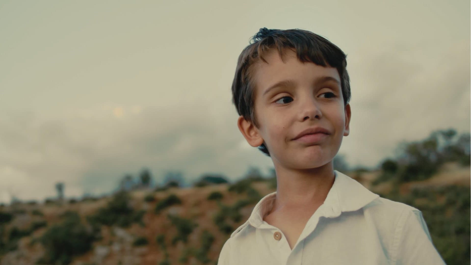 ¿Qué comen los dragones?