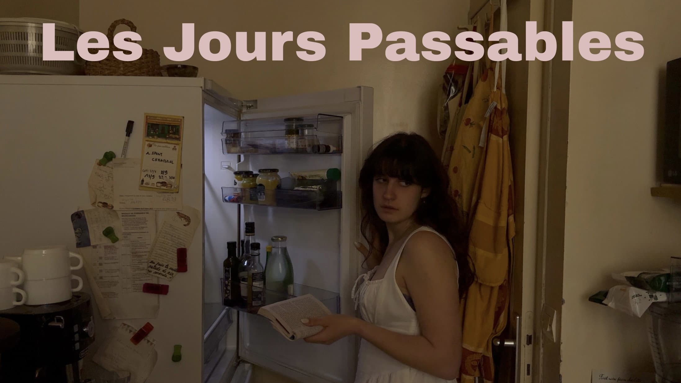 Les jours passables