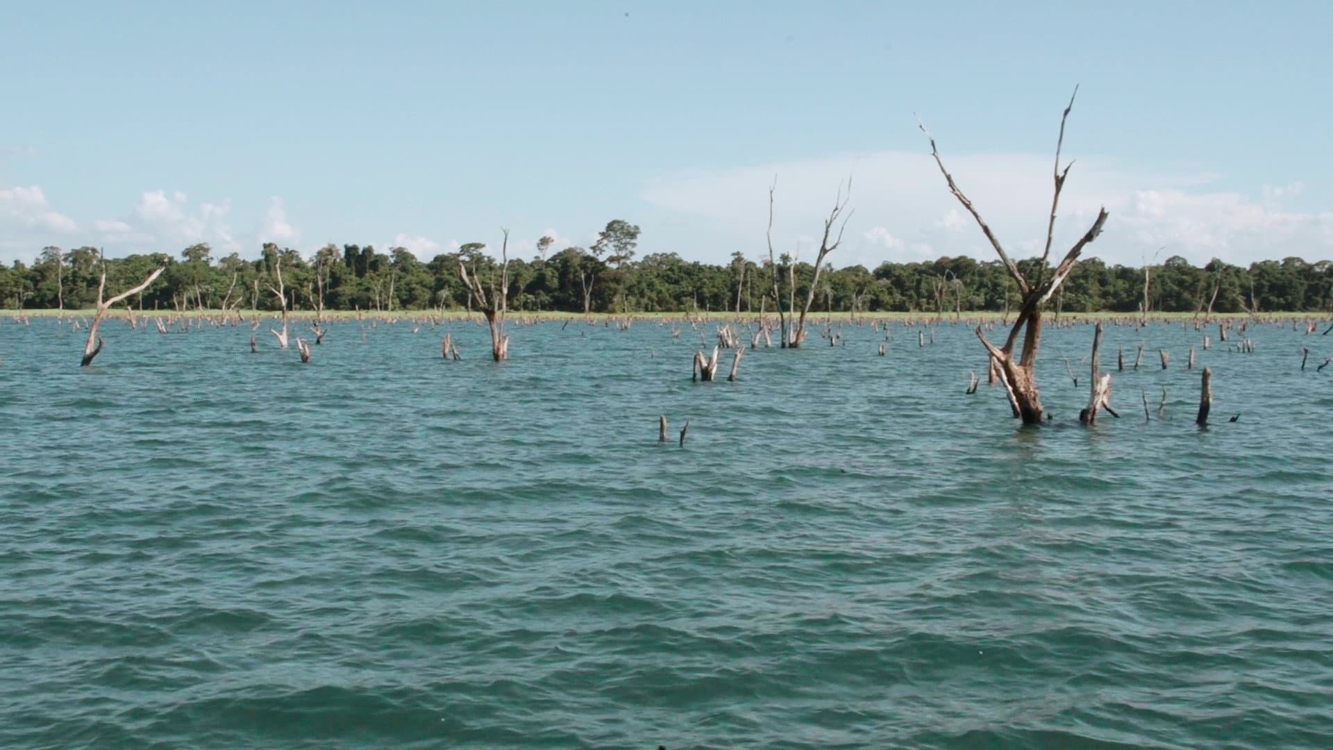 Yesterday I Remember My Mom