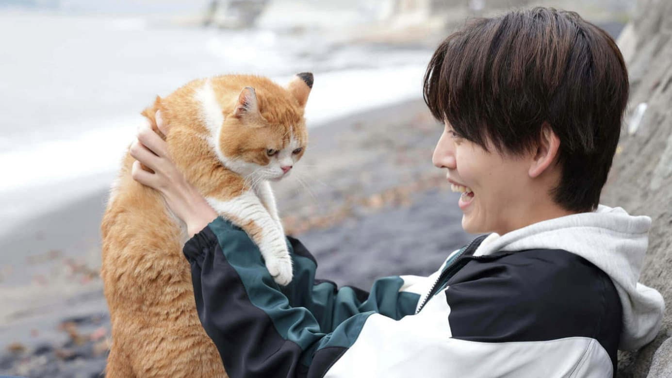 NEKOMIMI - Seaside Pet Detective -