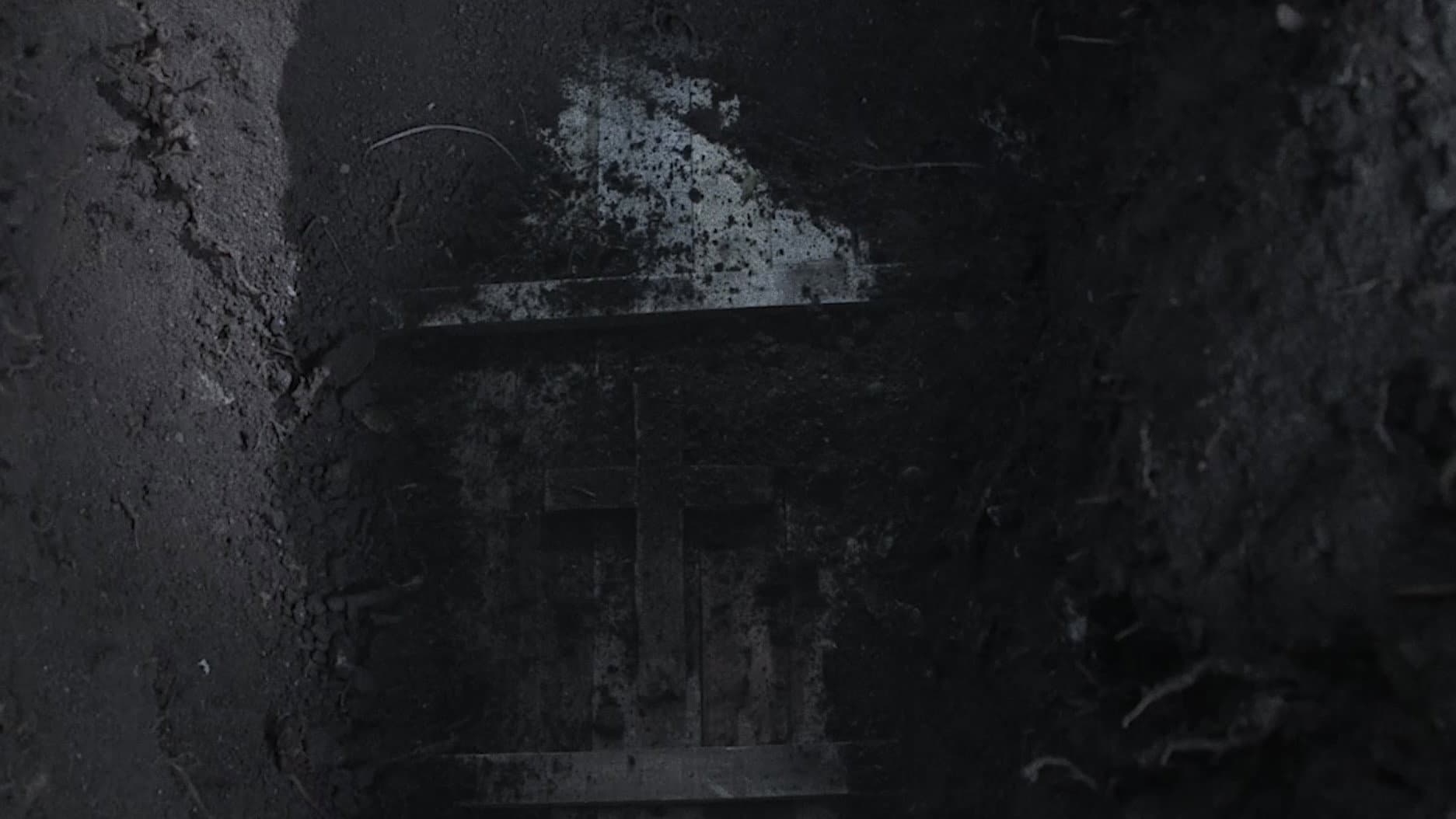 The Curse of Lady Lazarus