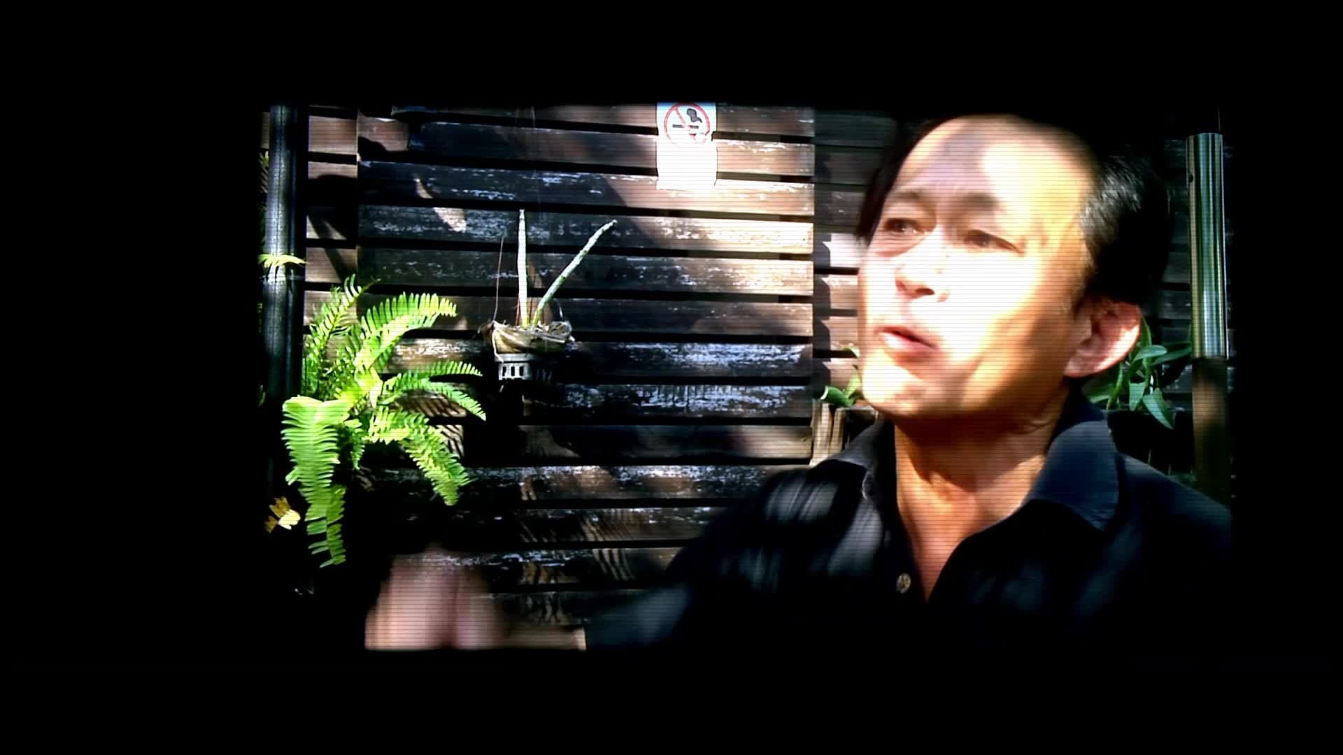 The Fukushima Disaster: The Hidden Side of The Story